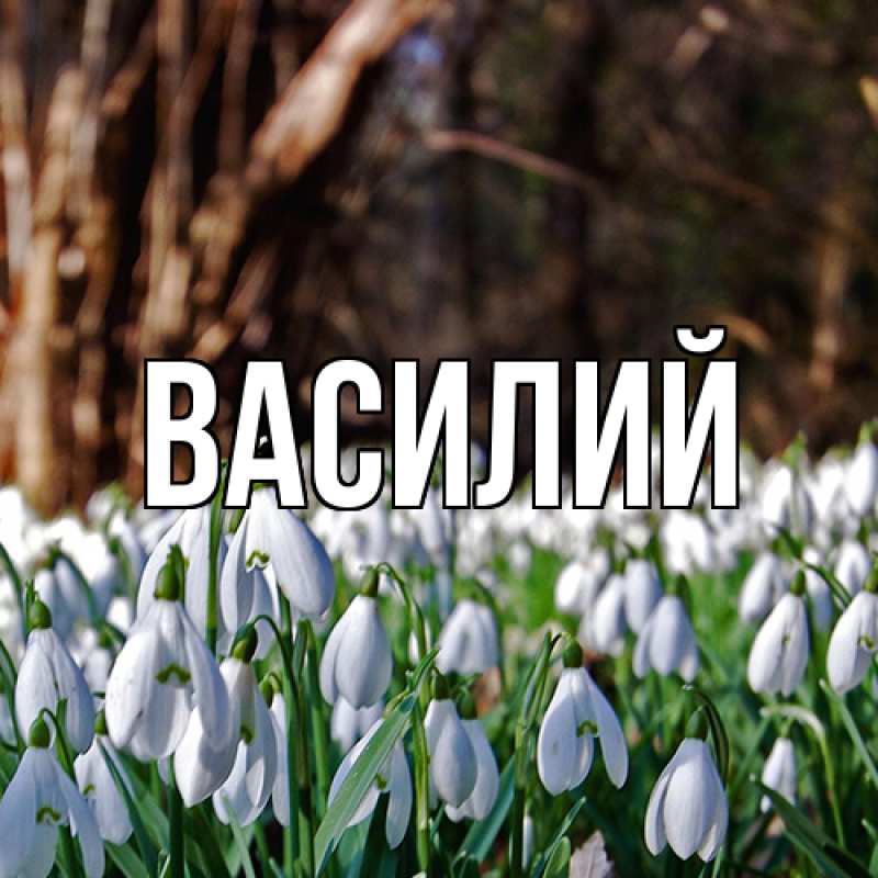 Картинка  с именем , Василий