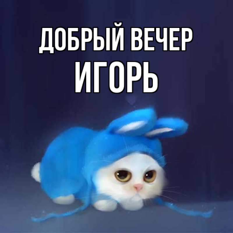 Картинка Добрый вечер, Игорь