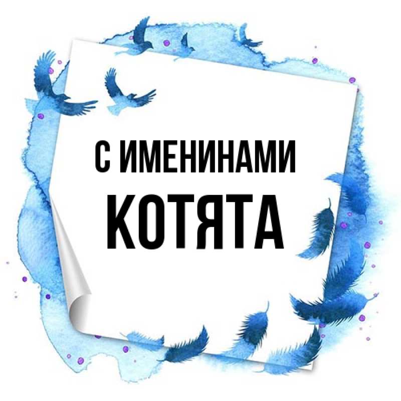 Картинка С именинами, Котята