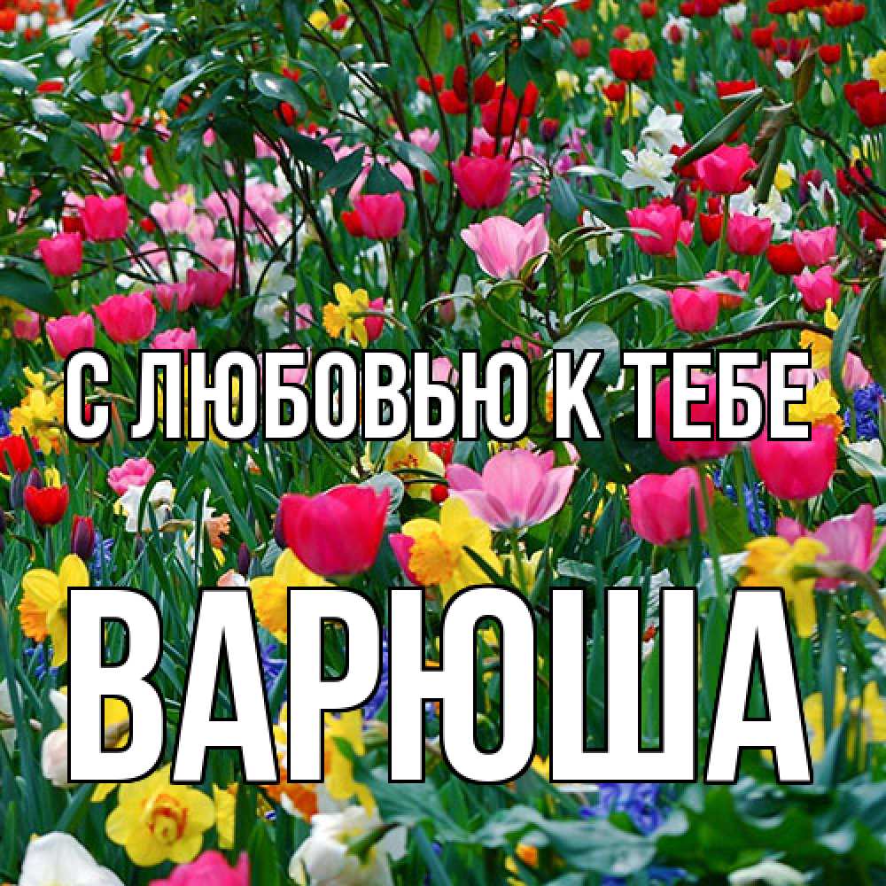 Открытка  с именем. Варюша, С любовью к тебе  