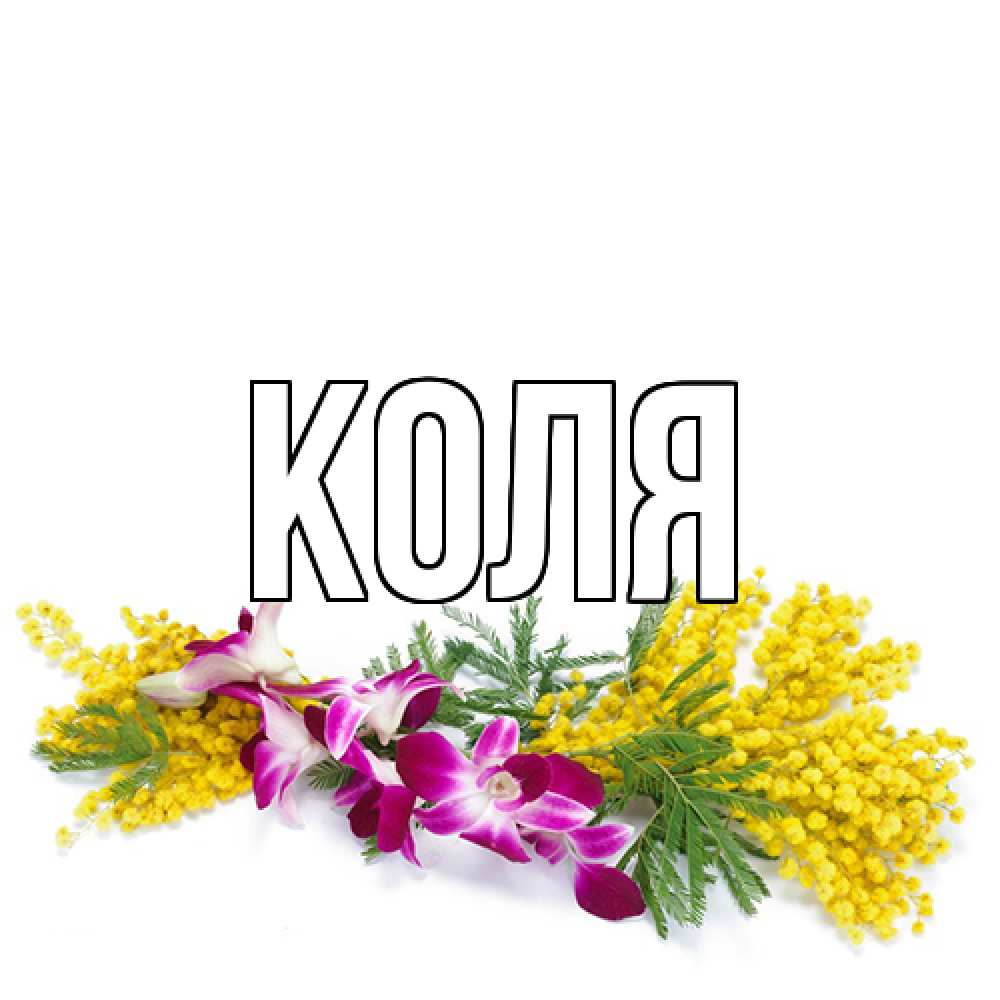 Открытка  с именем. коля, Главная  