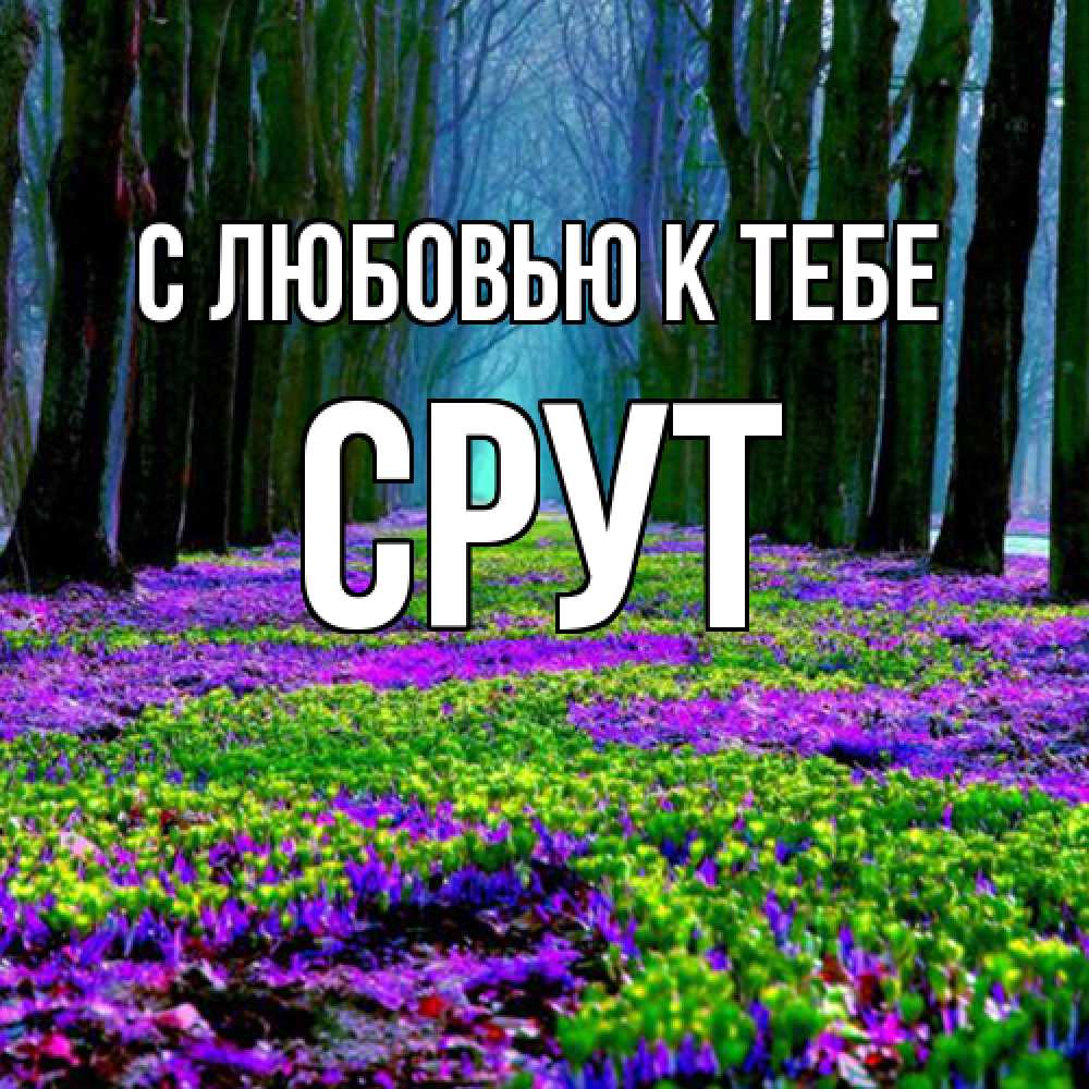 Открытка  с именем. срут, С любовью к тебе  
