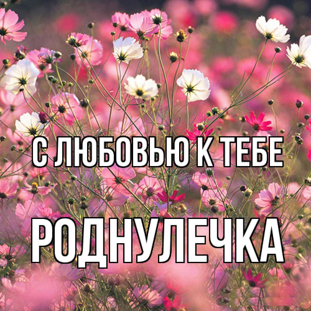 Открытка  с именем. Роднулечка, С любовью к тебе  