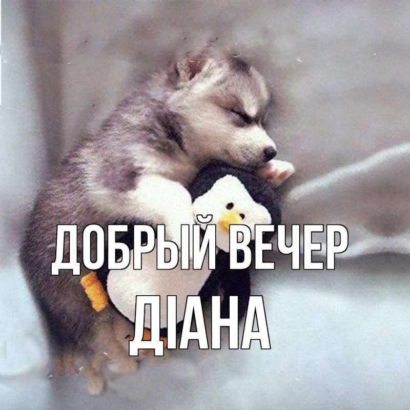 Картинка Добрый вечер, Діана