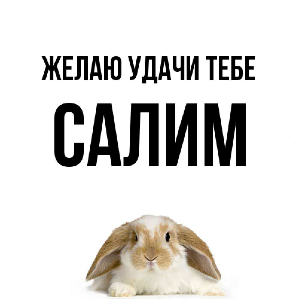 Открытка  с именем. Салим, Желаю удачи тебе  