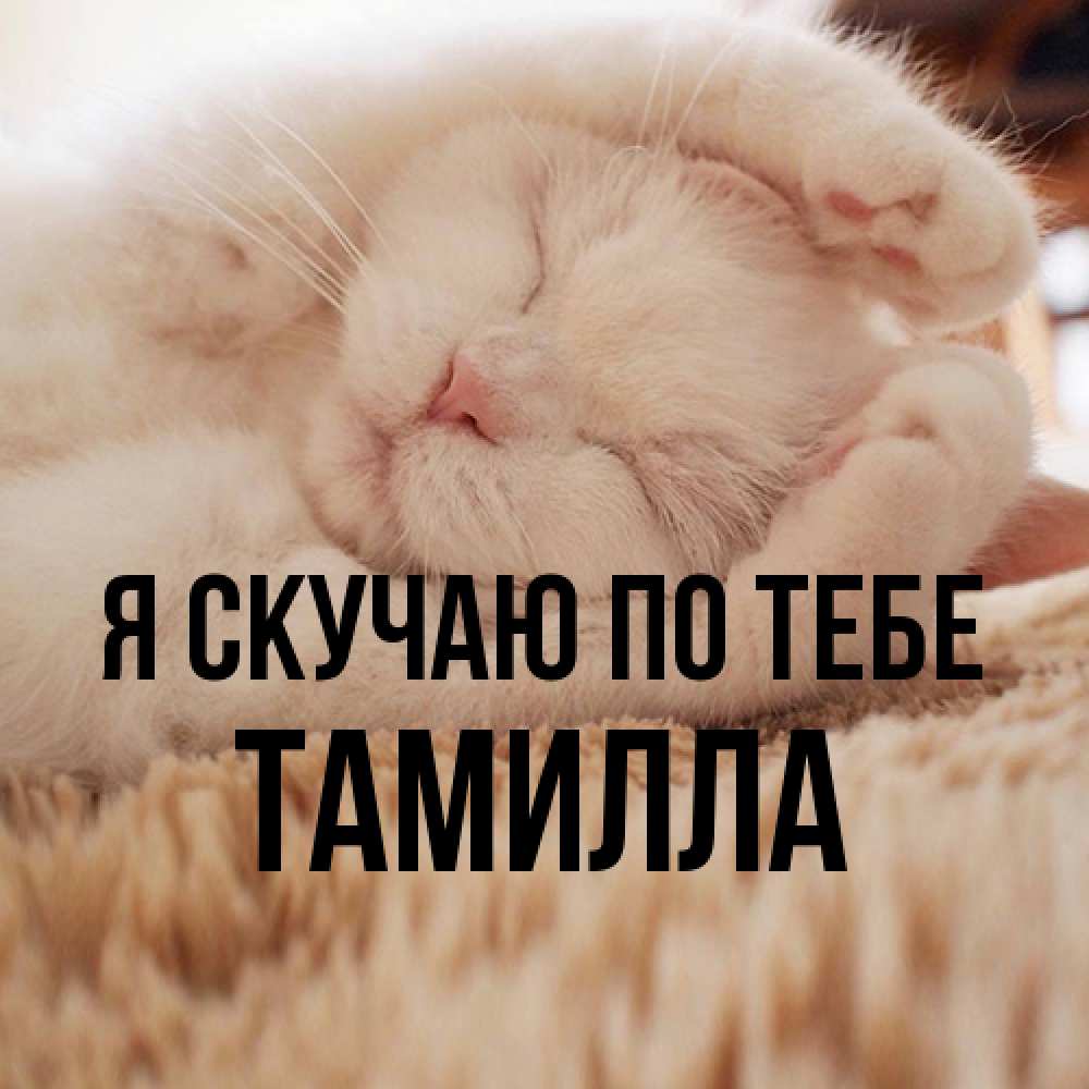 Открытка  с именем. Тамилла, Я скучаю по тебе  