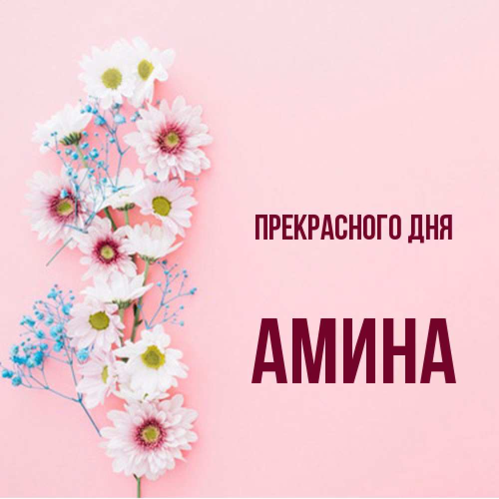 Открытка  с именем. Амина, Прекрасного дня  