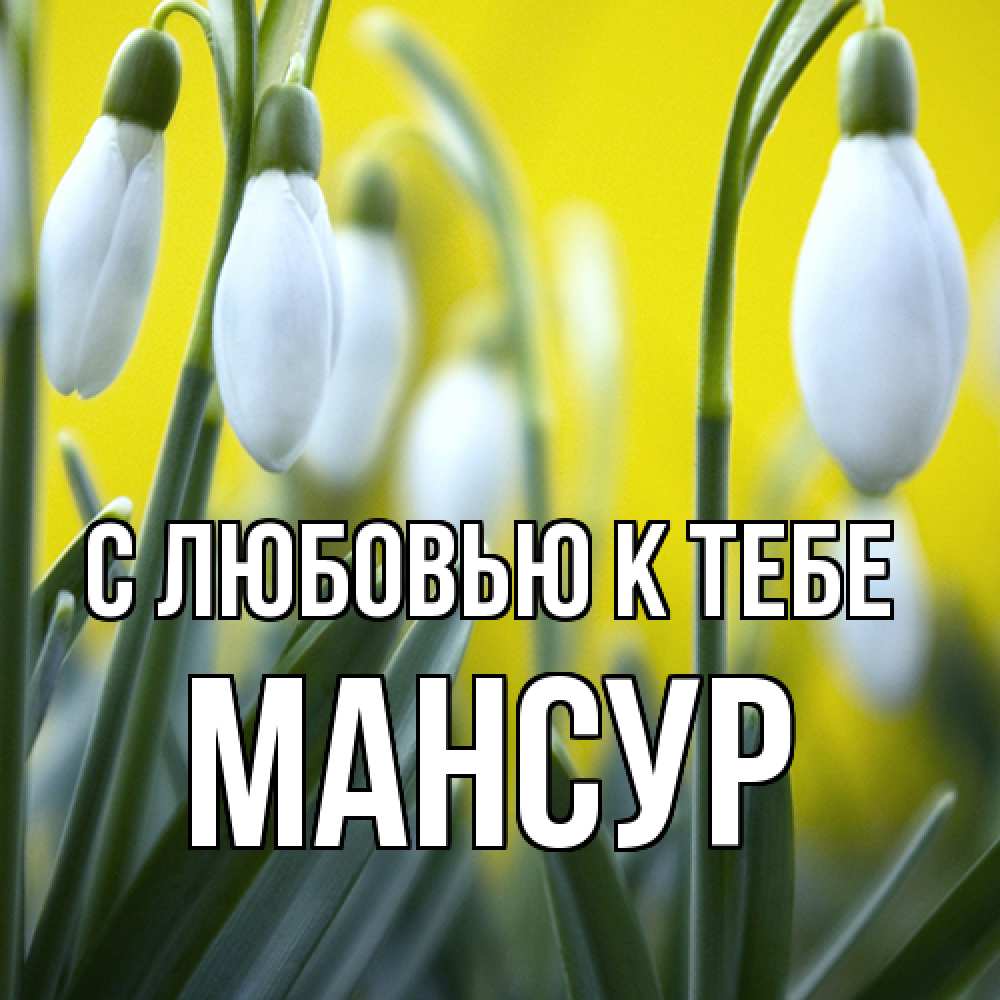 Открытка  с именем. Мансур, С любовью к тебе  