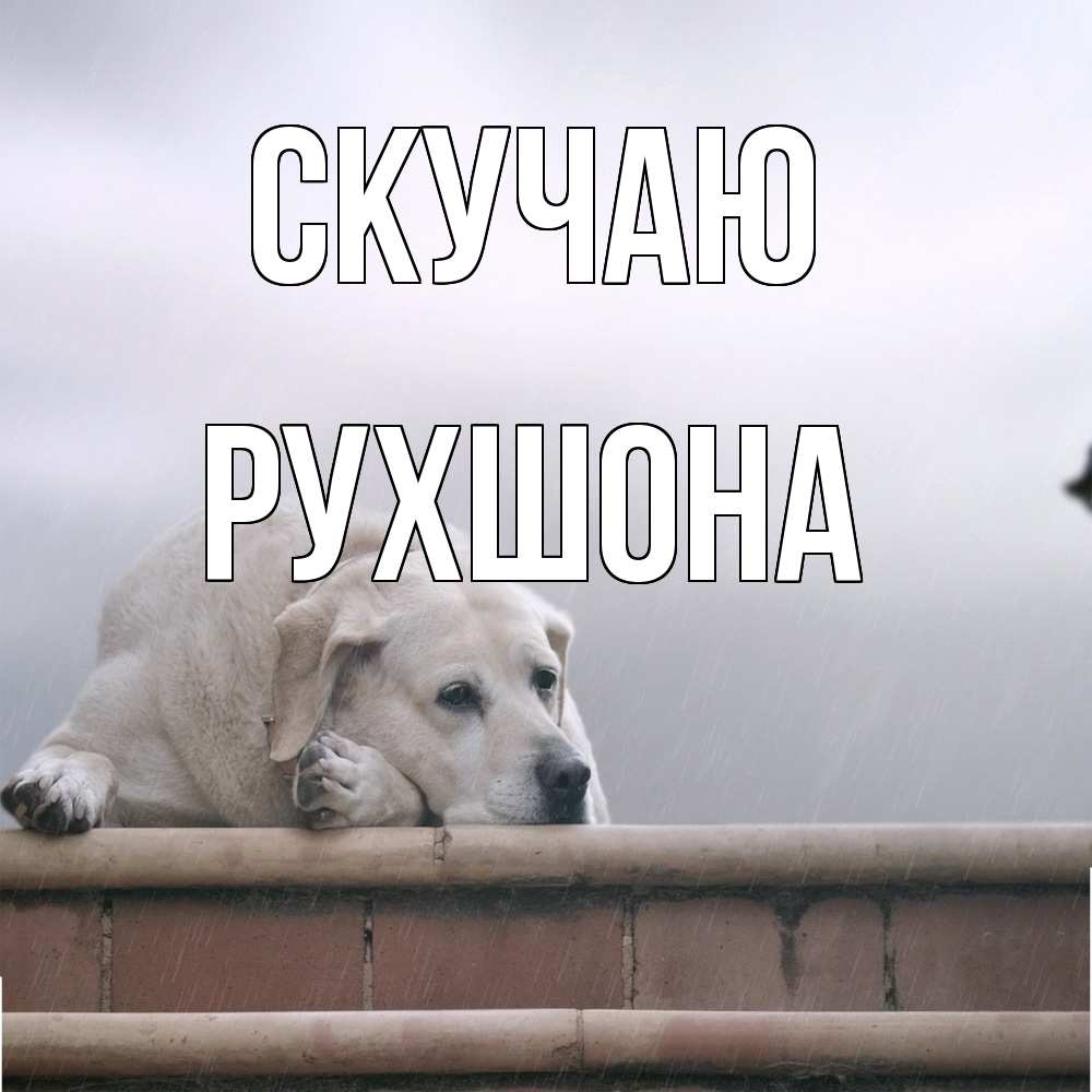 Открытка  с именем. Рухшона, Скучаю  