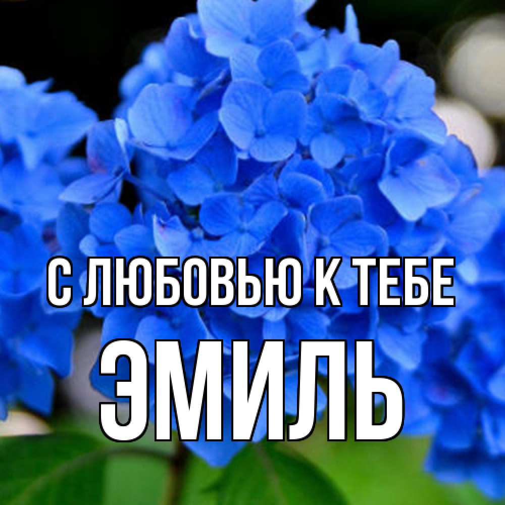 Открытка  с именем. Эмиль, С любовью к тебе  