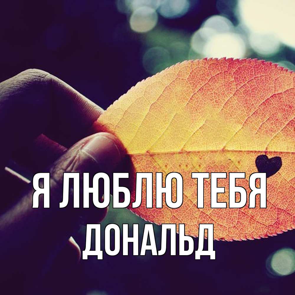 Открытка  с именем. Дональд, Я люблю тебя  