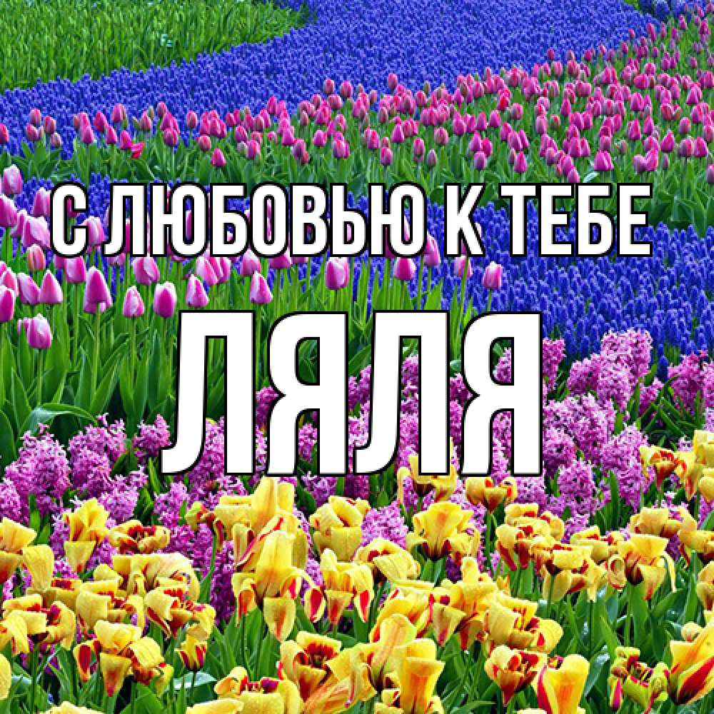 Открытка  с именем. Ляля, С любовью к тебе  