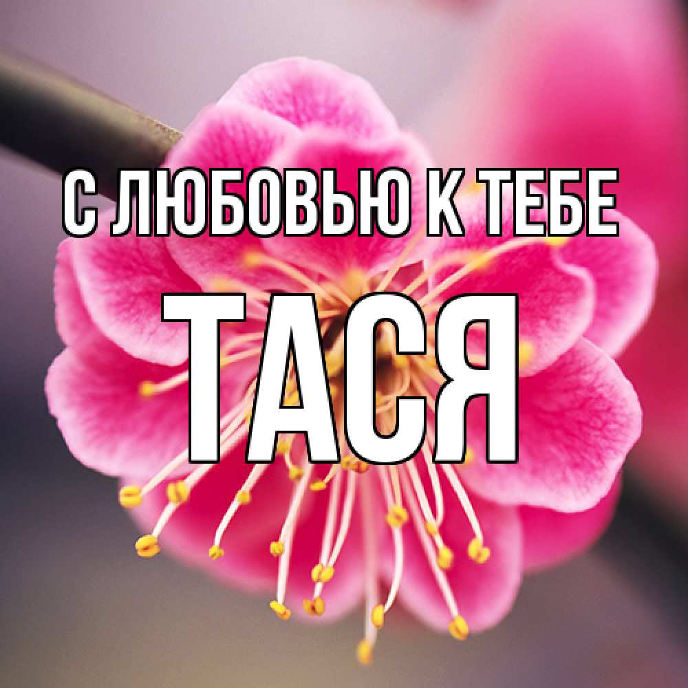 Открытка  с именем. Тася, С любовью к тебе  