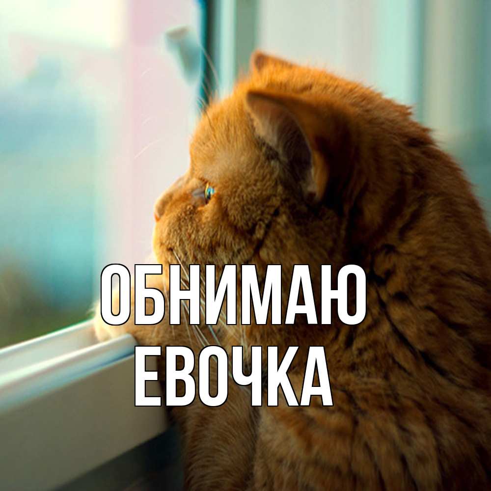 Открытка  с именем. Евочка, Обнимаю  