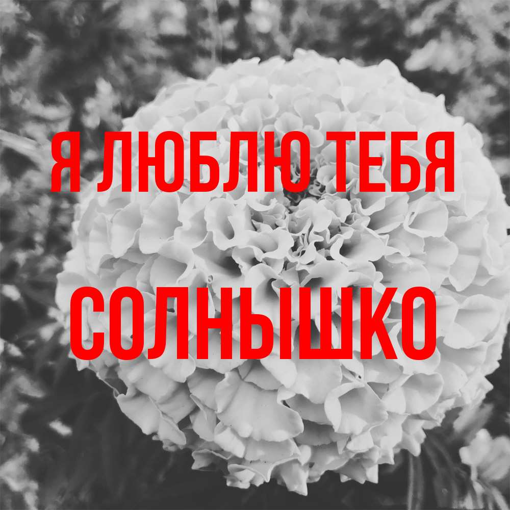 Открытка  с именем. Солнышко, Я люблю тебя  