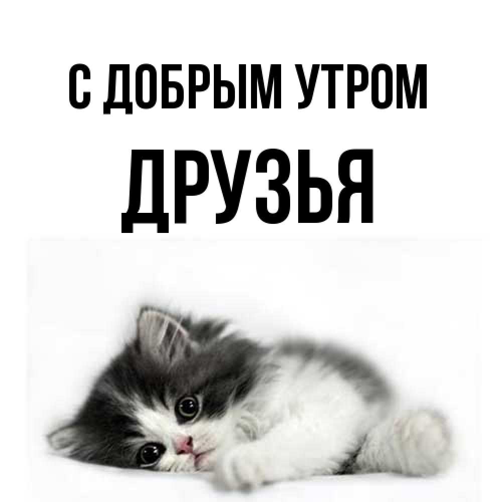 Открытка  с именем. друзья, С добрым утром  