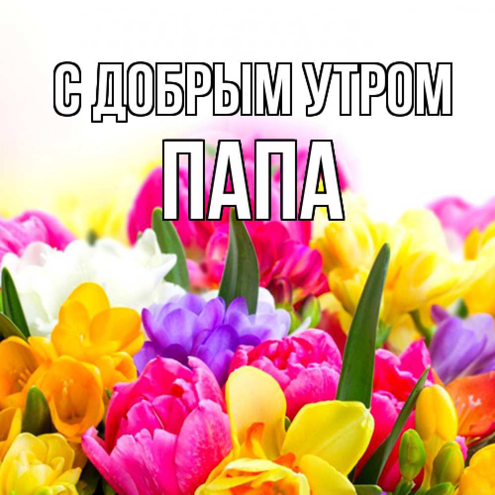Открытка  с именем. Папа, С добрым утром  