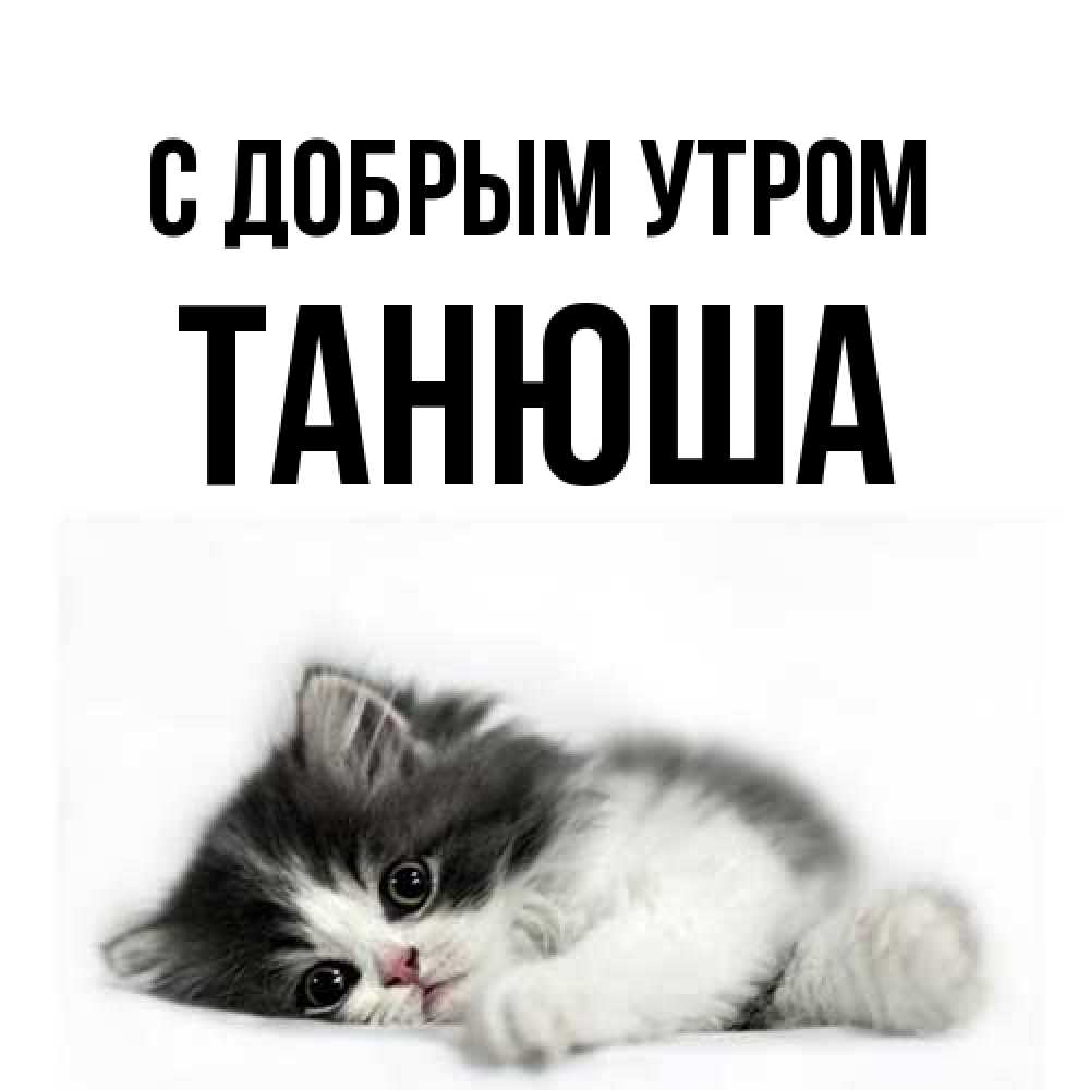 Открытка  с именем. Танюша, С добрым утром  