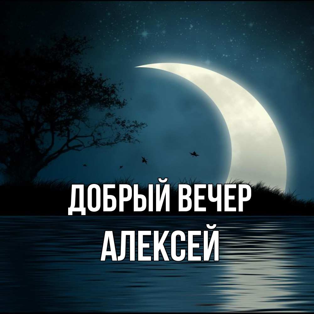 Открытка  с именем. Алексей, Добрый вечер  