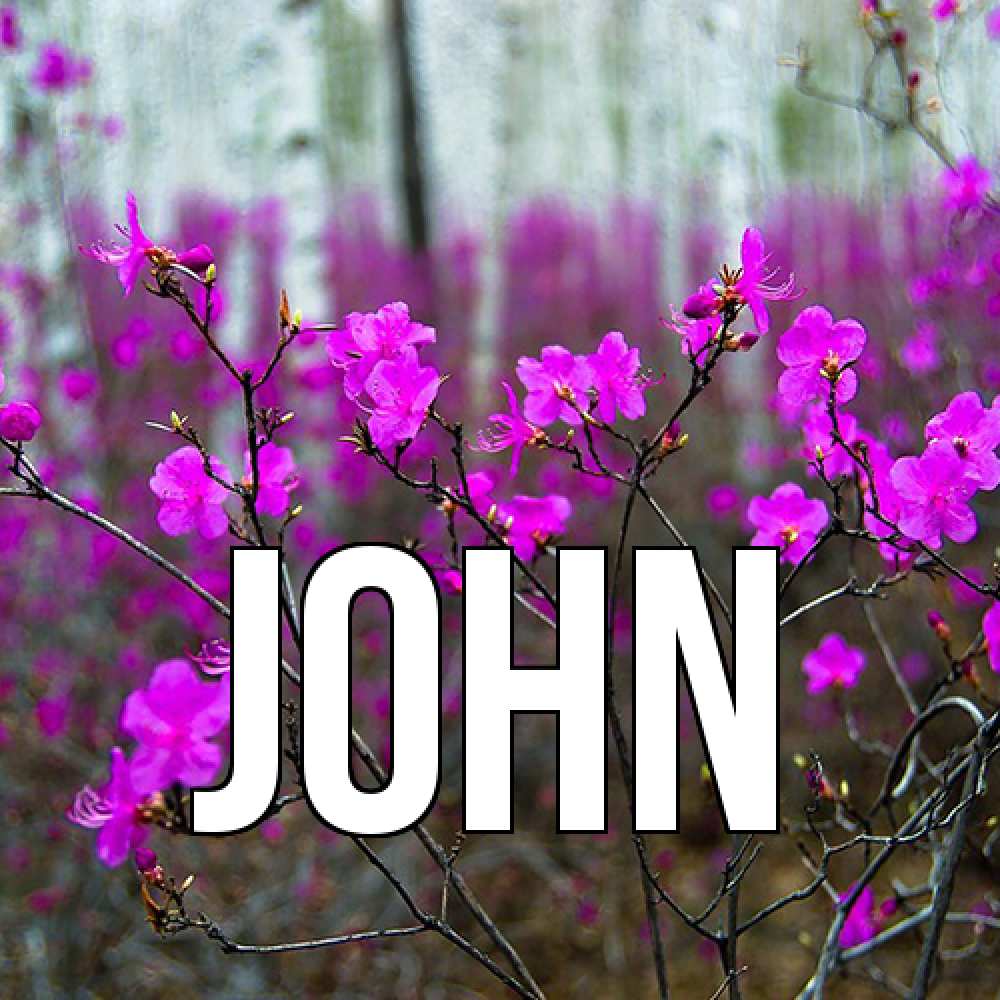 Открытка  с именем. John, Главная  