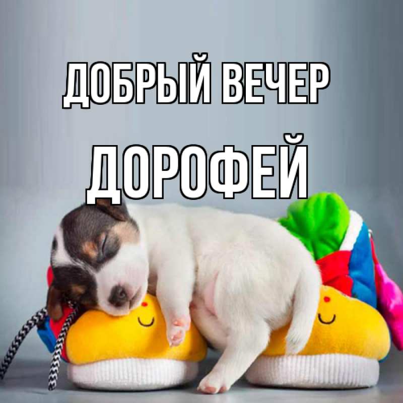 Картинка Добрый вечер, Дорофей