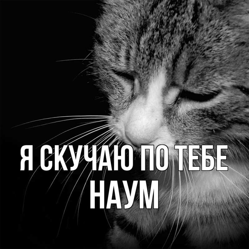 Картинка Я скучаю по тебе, Наум
