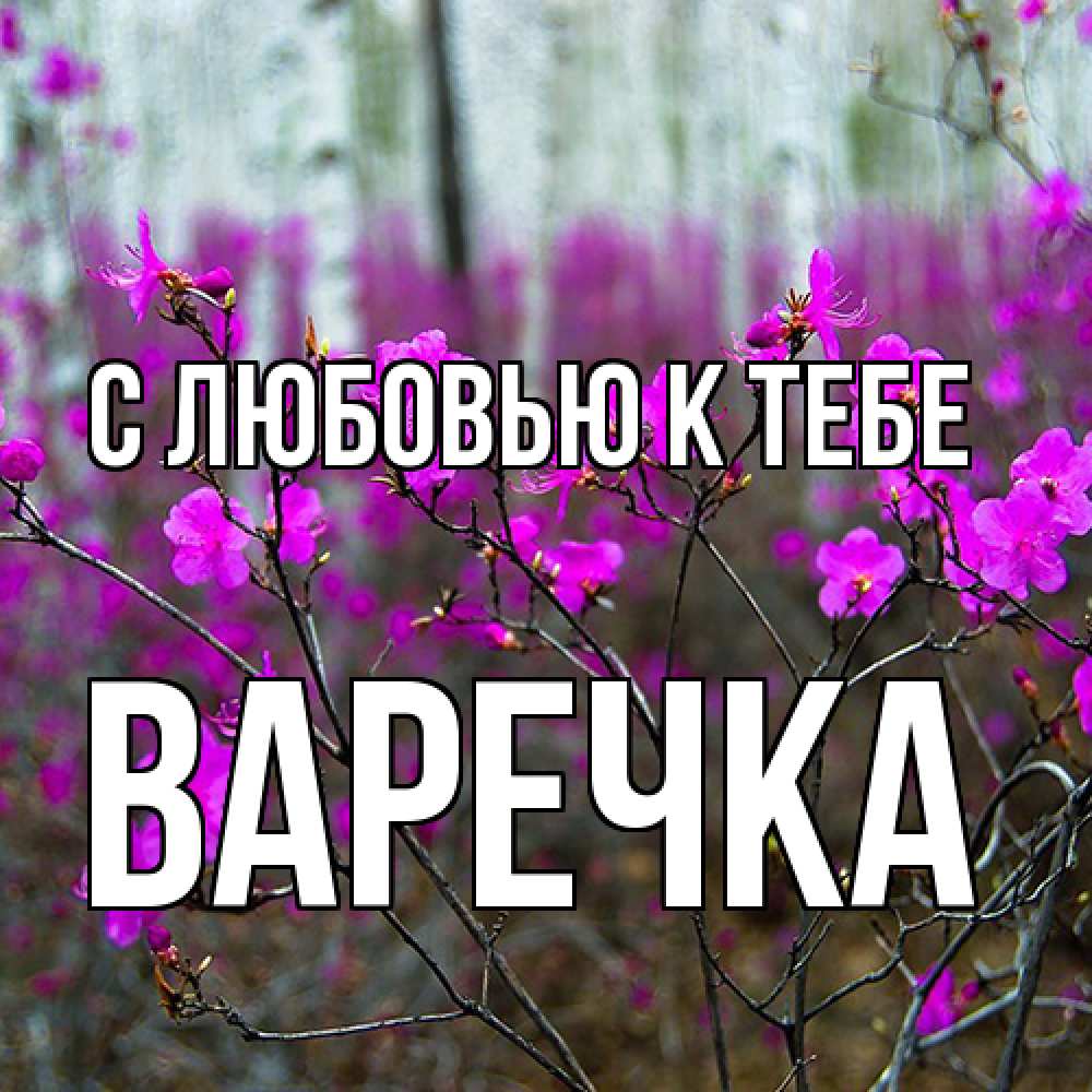 Открытка  с именем. Варечка, С любовью к тебе  