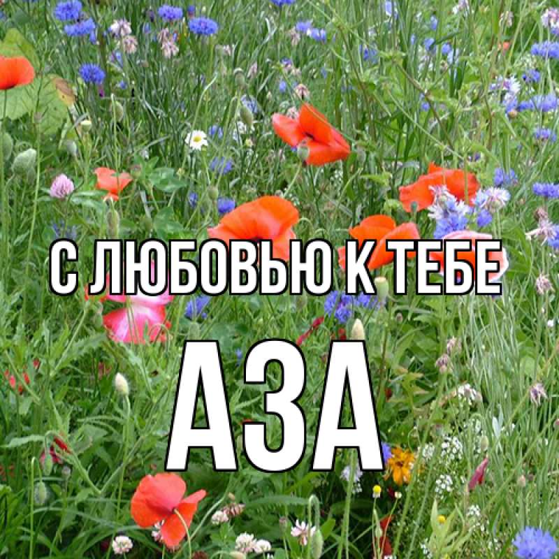 Картинка С любовью к тебе, Аза
