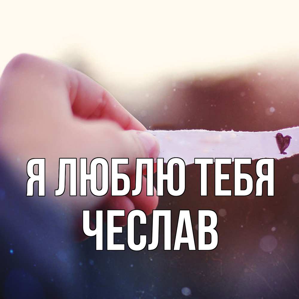 Открытка  с именем. Чеслав, Я люблю тебя  