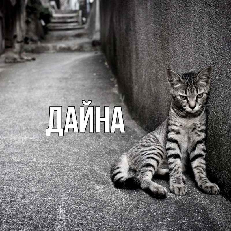 Картинка  с именем , Дайна