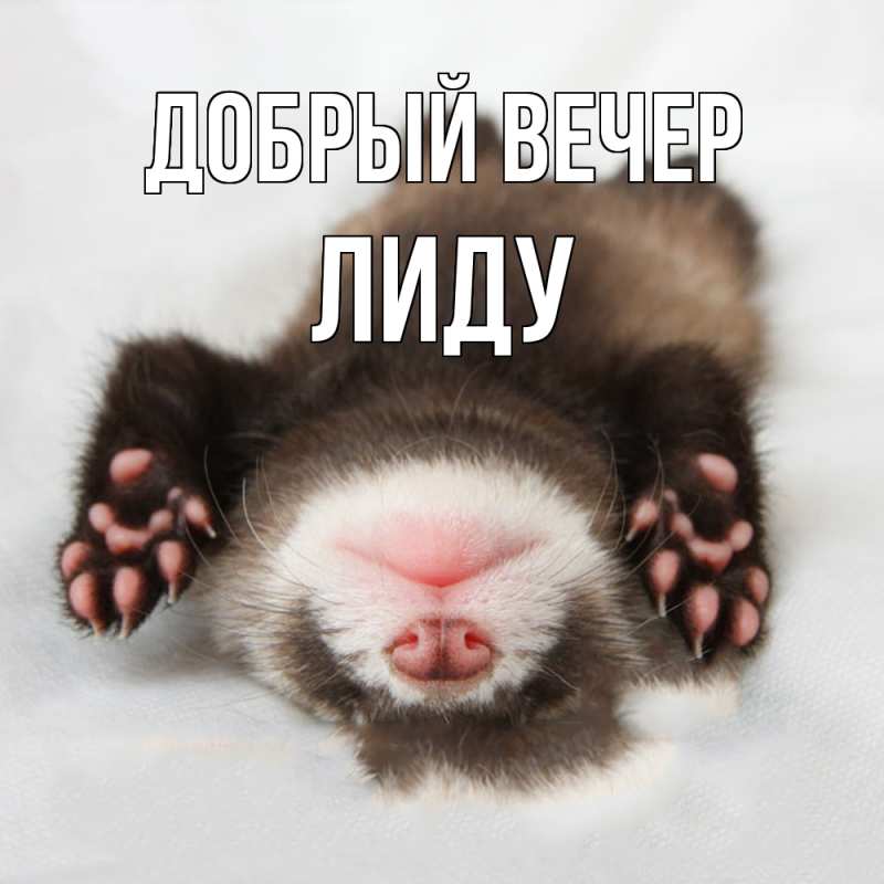 Картинка Добрый вечер, Лиду