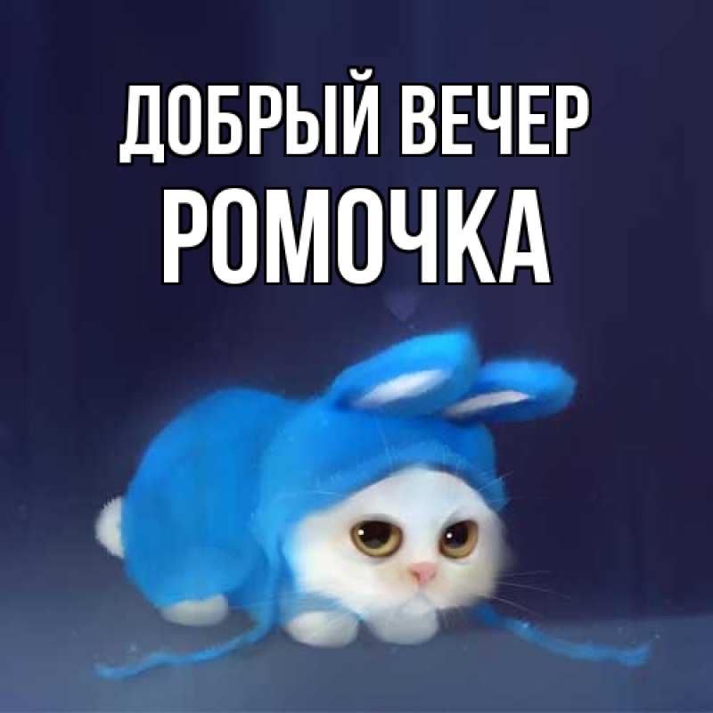 Картинка Добрый вечер, Ромочка