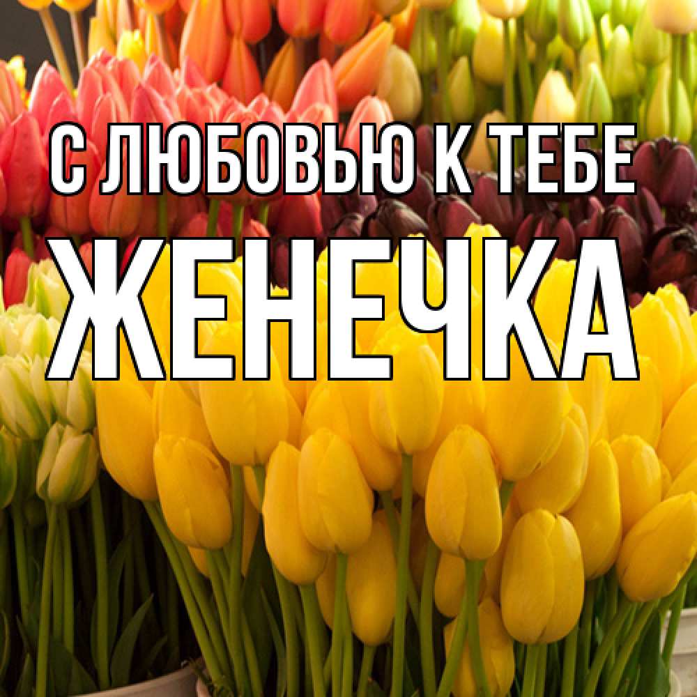 Открытка  с именем. Женечка, С любовью к тебе  