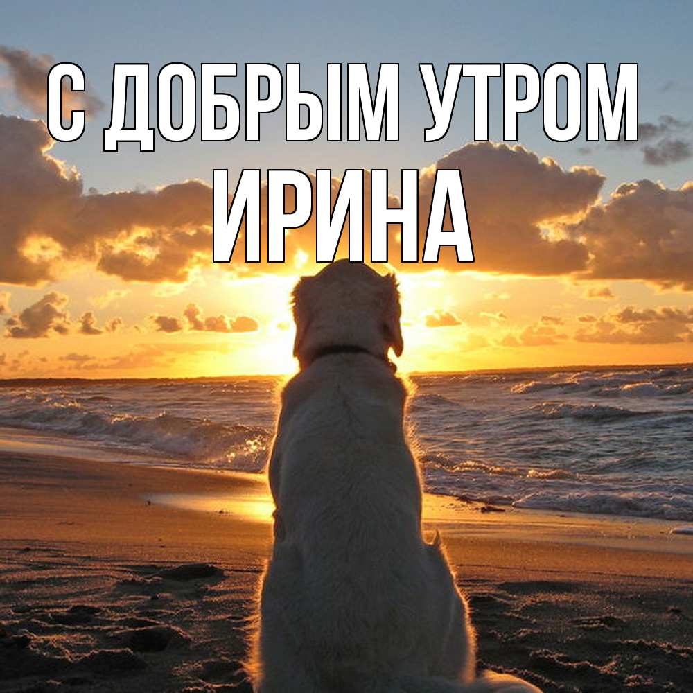 Открытка  с именем. Ирина, С добрым утром  