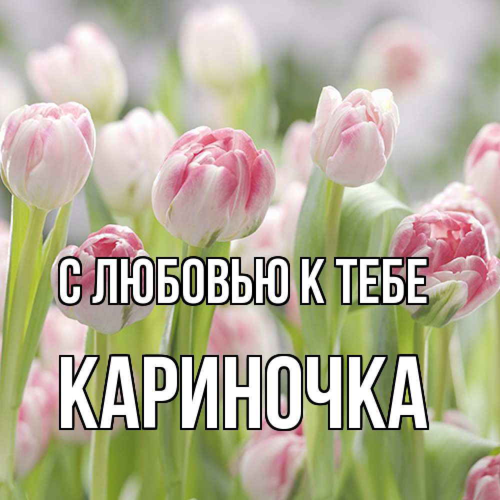 Открытка  с именем. Кариночка, С любовью к тебе  