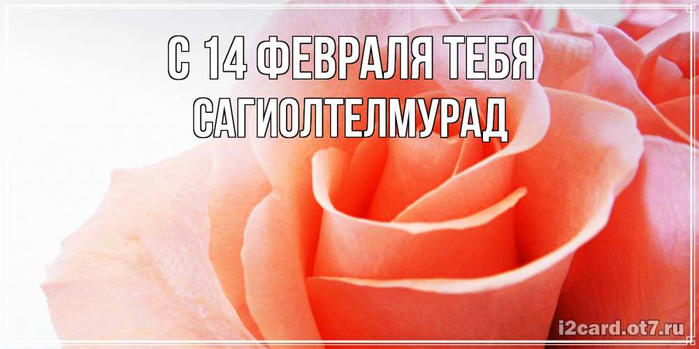 Открытка  с именем. САГИОЛТЕЛМУРАД, С 14 февраля тебя  