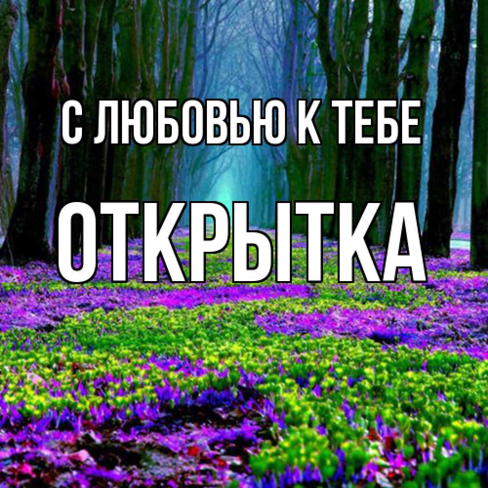 Открытка  с именем. открытка, С любовью к тебе  