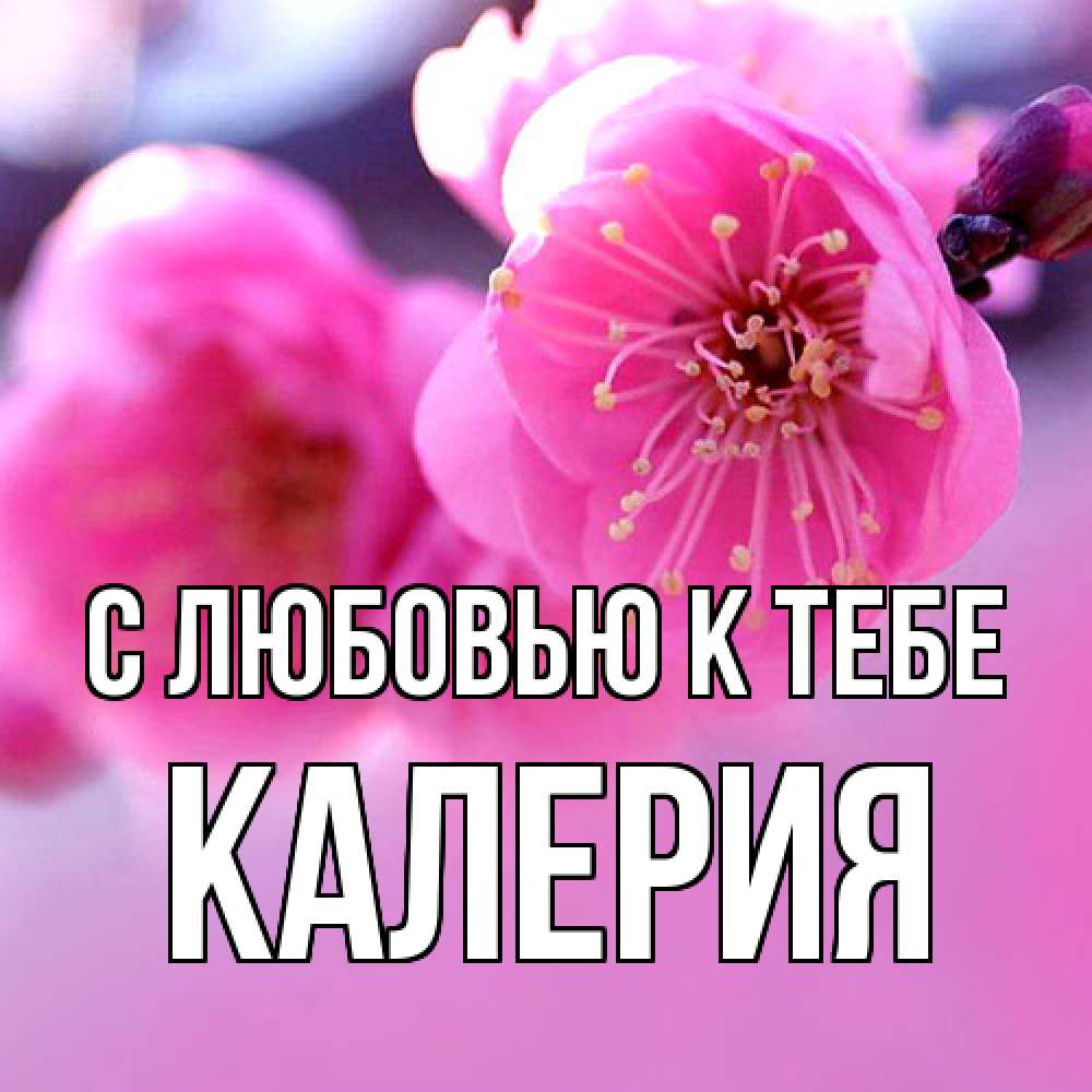 Открытка  с именем. Калерия, С любовью к тебе  