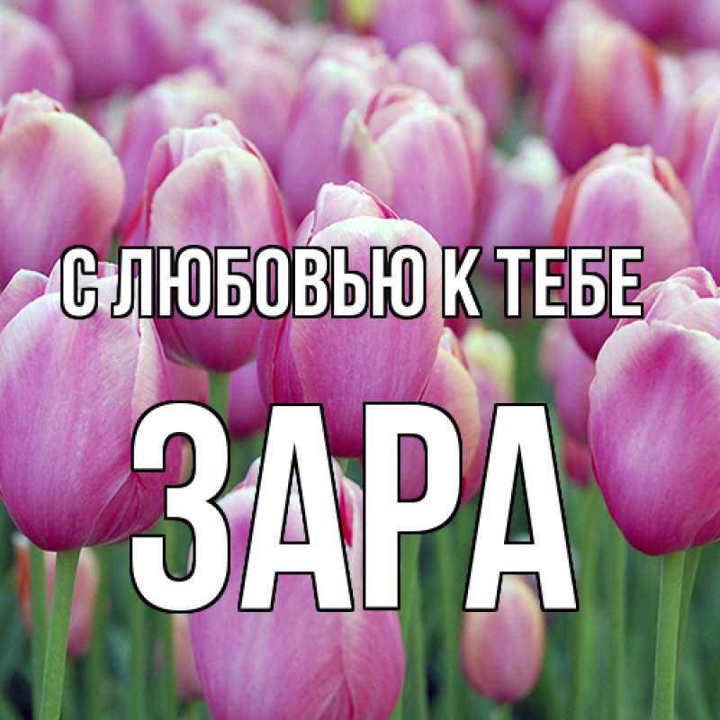 Картинка С любовью к тебе, Зара