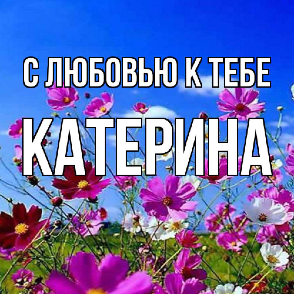 Открытка  с именем. Катерина, С любовью к тебе  