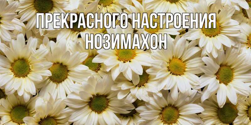 Картинка Прекрасного настроения, Нозимахон