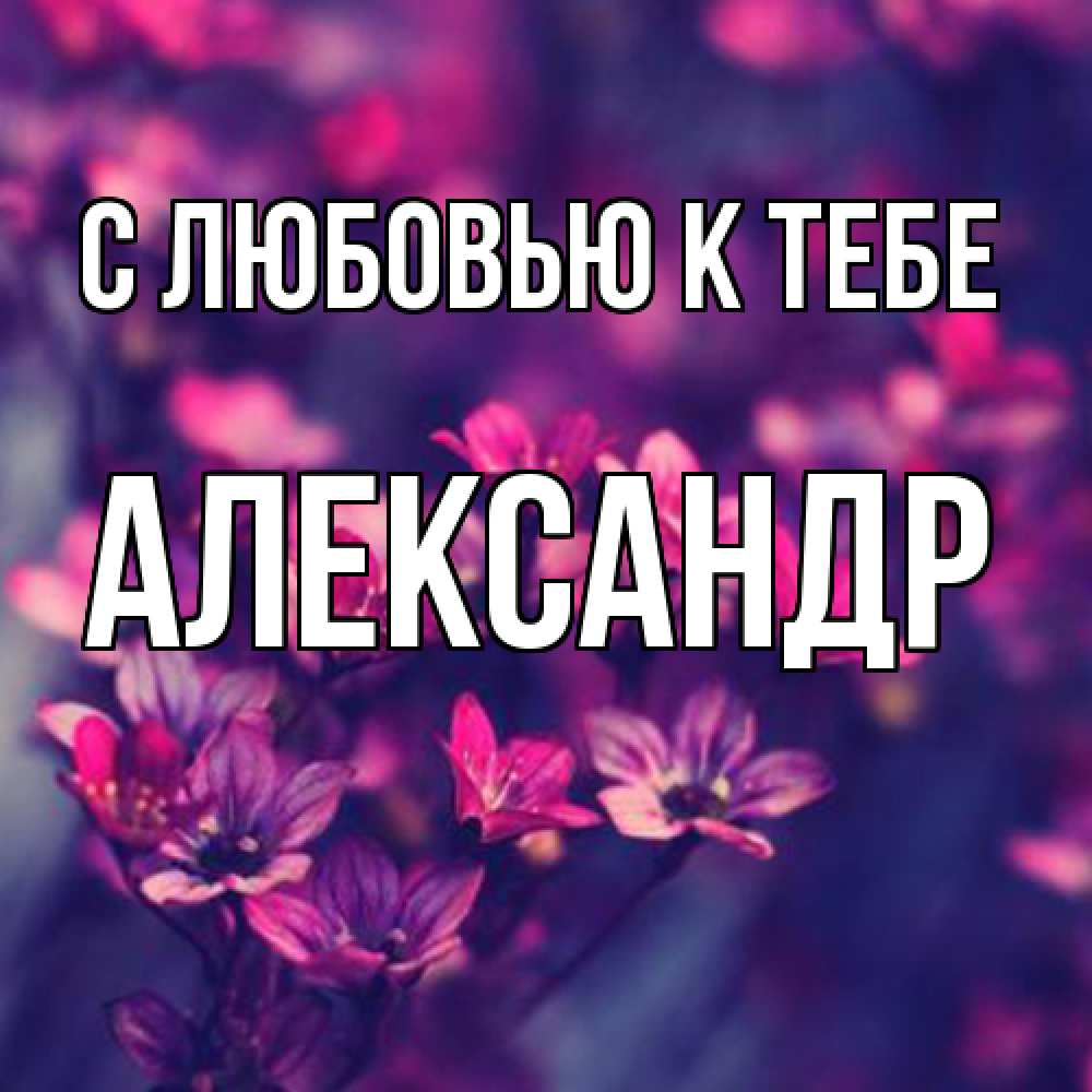 Открытка  с именем. Александр, С любовью к тебе  