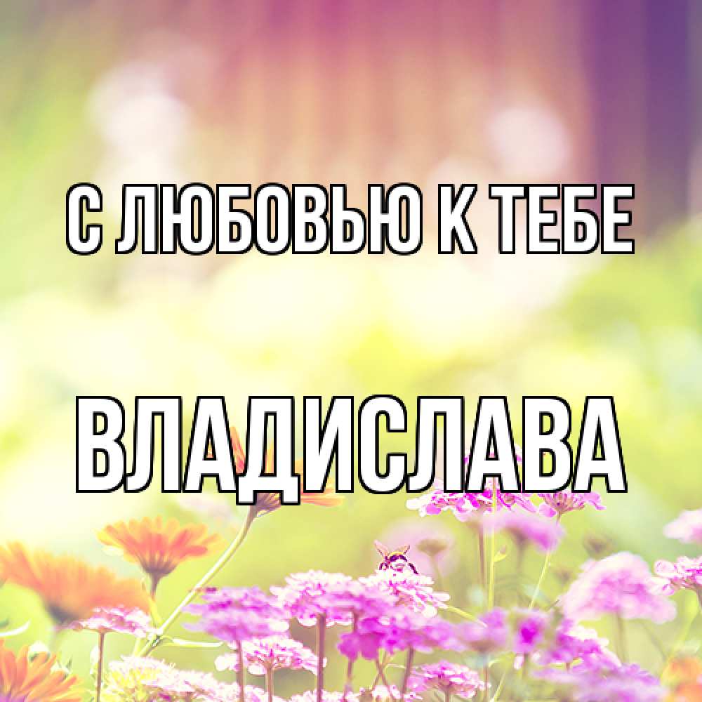 Открытка  с именем. Владислава, С любовью к тебе  