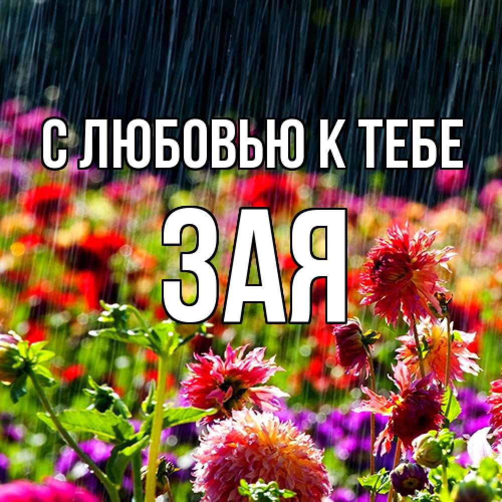 Открытка  с именем. Зая, С любовью к тебе  