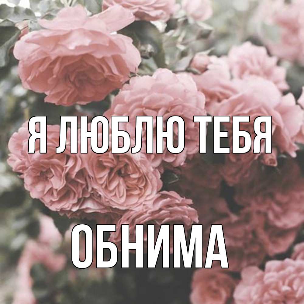 Открытка  с именем. Обнима, Я люблю тебя  