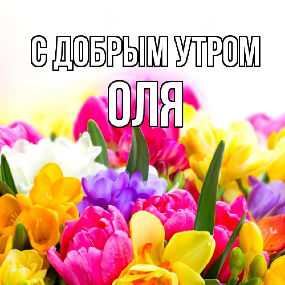 Открытка  с именем. оля, С добрым утром  