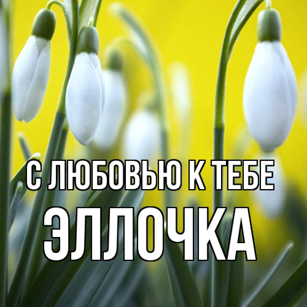 Открытка  с именем. Эллочка, С любовью к тебе  