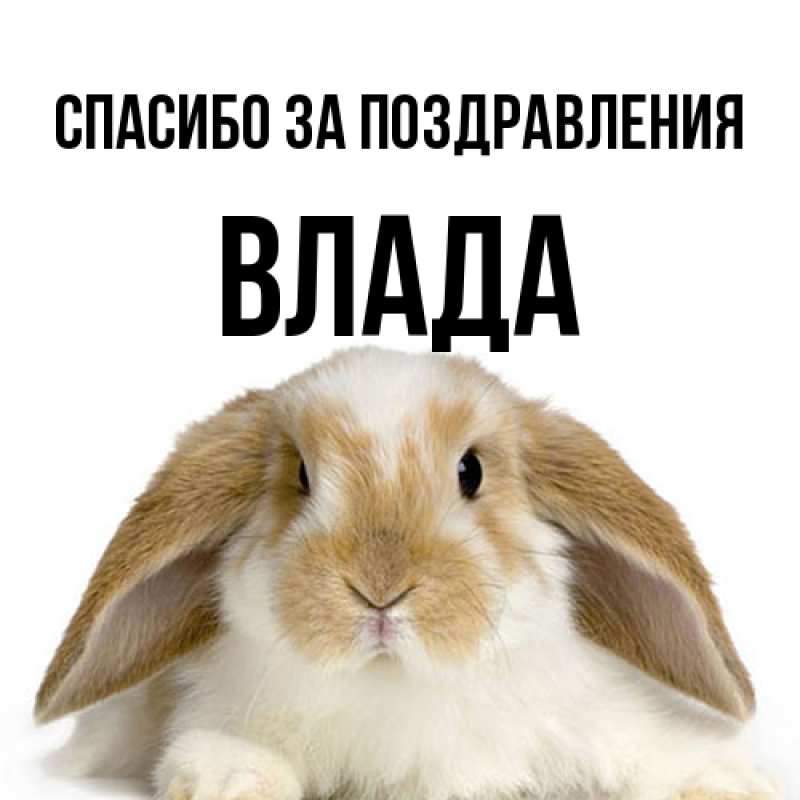 Картинка Спасибо за поздравления, Влада