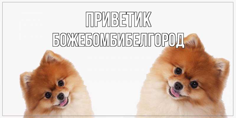 Картинка приветик, боже.бомби.белгород