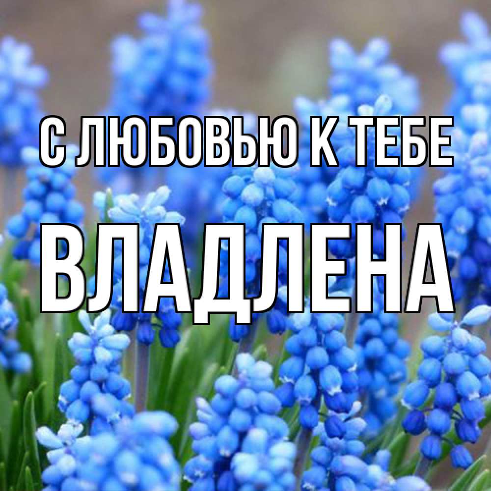 Открытка  с именем. Владлена, С любовью к тебе  